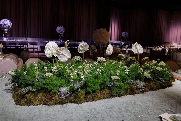 צילום: People Photography