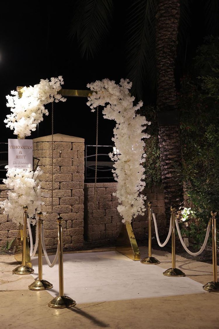 צילום: שי אסייג