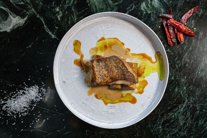 קולינריה SERA סרה #12