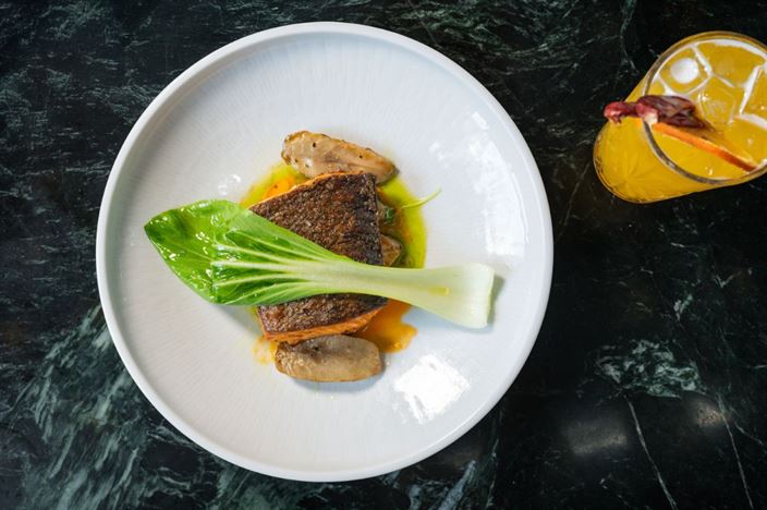 קולינריה SERA סרה #10