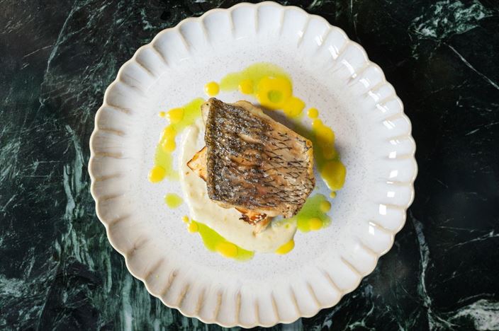 קולינריה SERA סרה #7