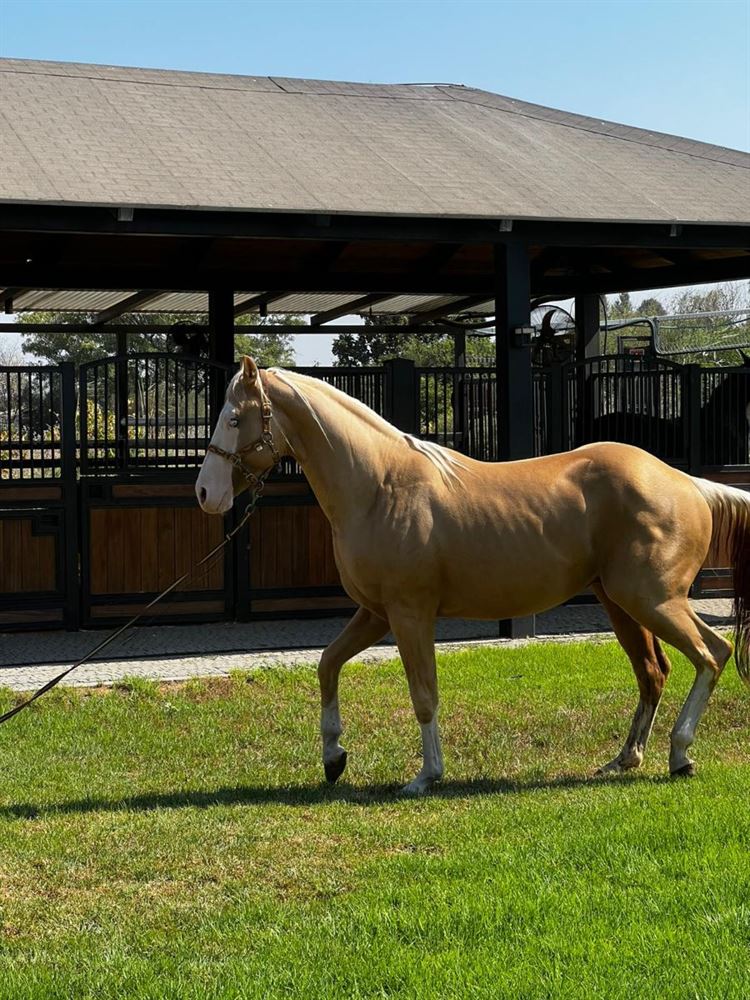צילום:people photpgraphy