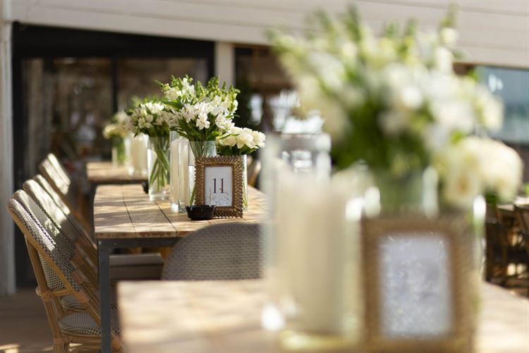 צילום: people photography