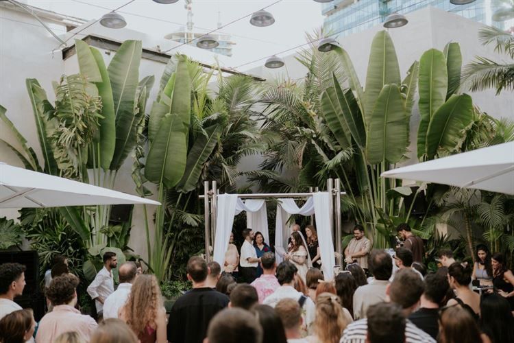 צילום:flea studio