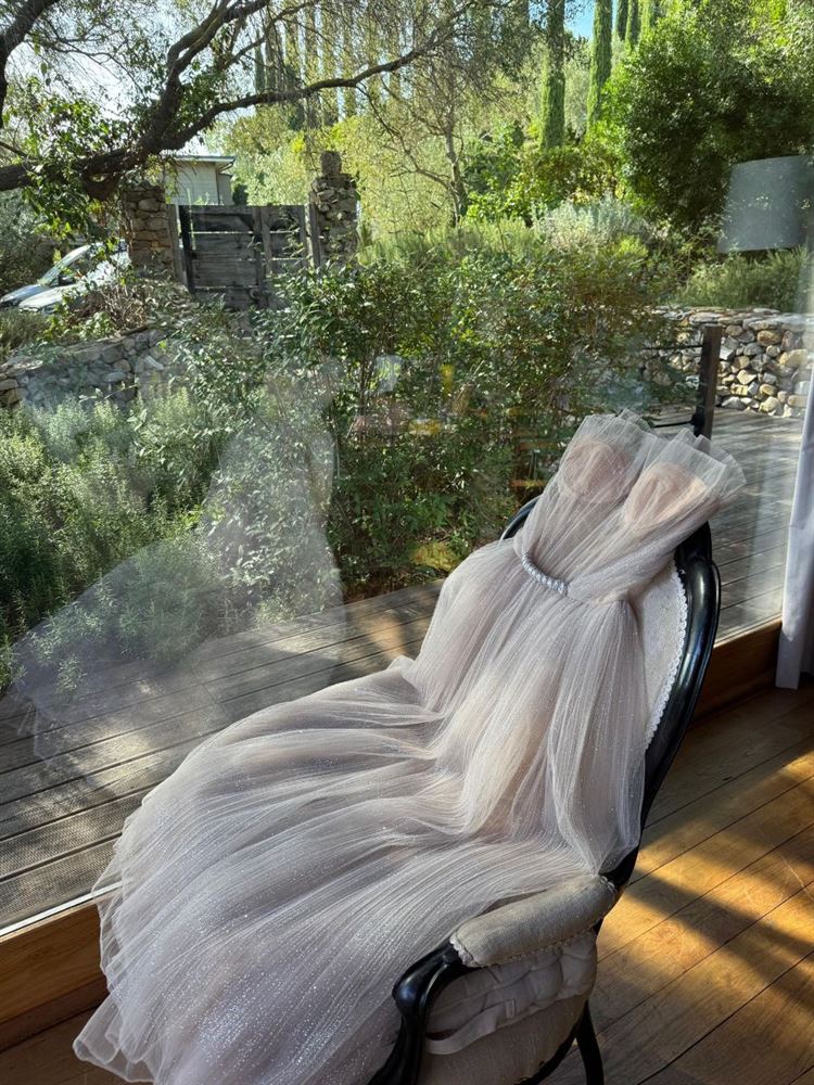 צילום: ניר ברנע