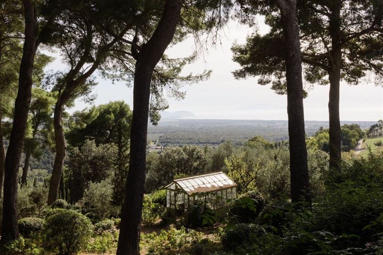 צילום: sayuriweddings, angelicamuzzi.ph