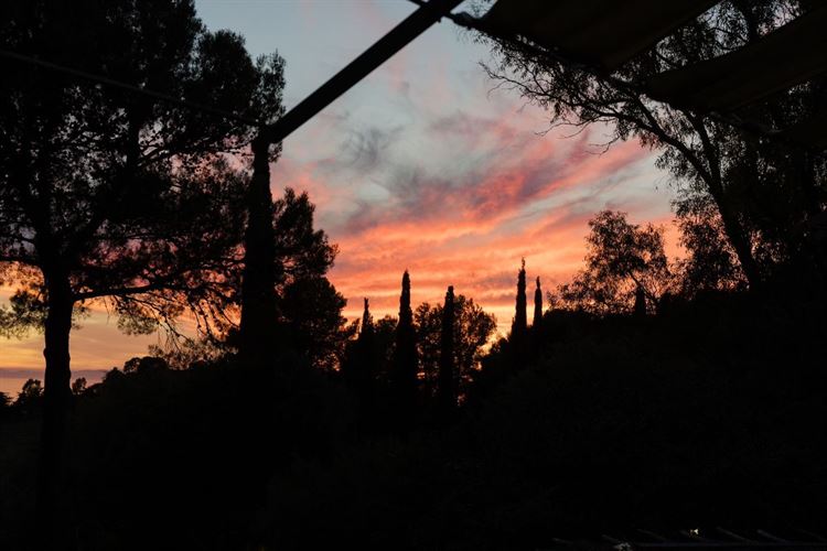 צילום: sayuriweddings, angelicamuzzi.ph