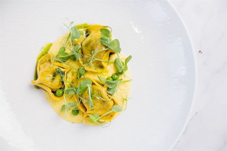 צילום: וואלה מזל טוב