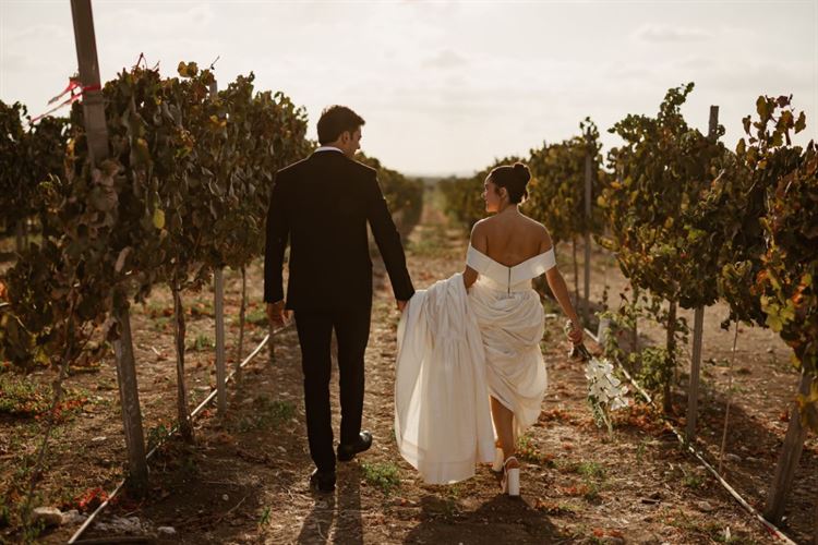 צילום: גילעד משיח