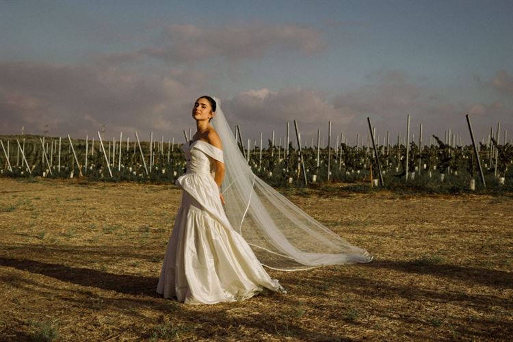 צילום: גילעד משיח