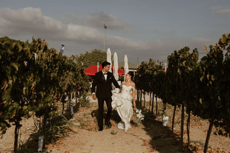 צילום: גילעד משיח