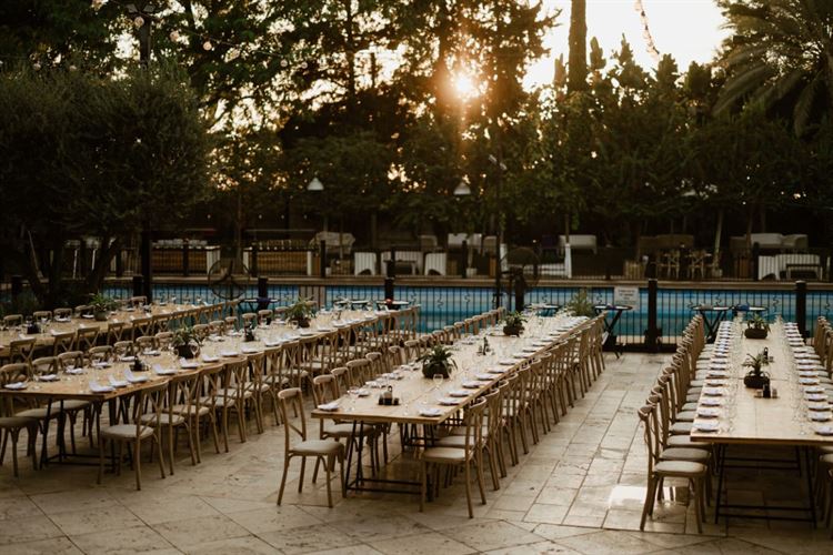 צילום: גלעד משיח