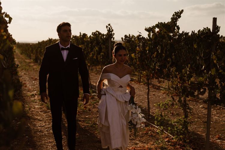 צילום: גילעד משיח