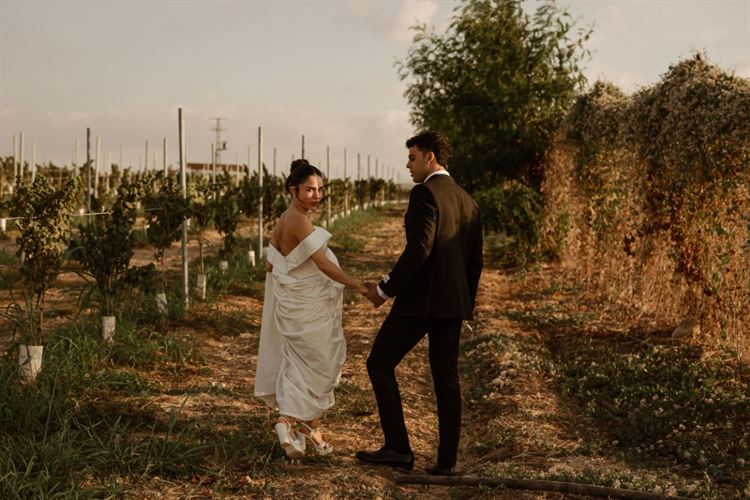 צילום: גילעד משיח