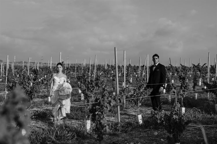 צילום: גילעד משיח