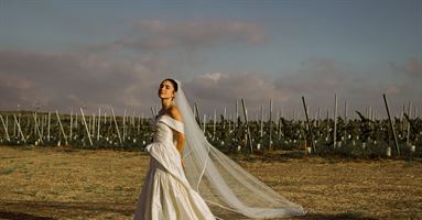 הבליינד דייט שהתחיל בטעות - והסתיים בחתונה חלומית 