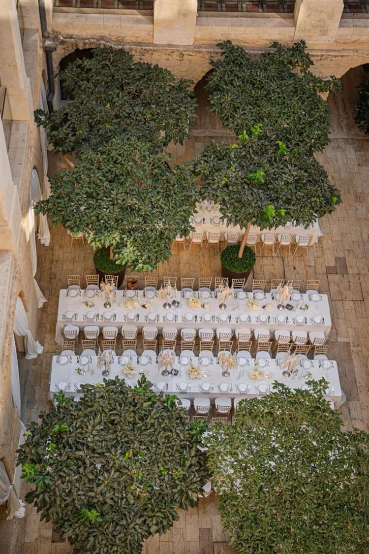 צילום: חיים אפריאט