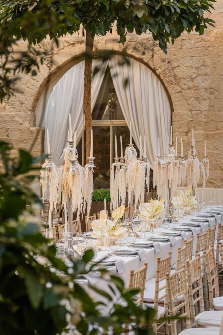 צילום: חיים אפריאט