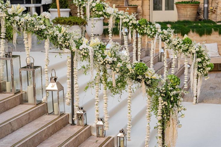 צילום: חיים אפריאט