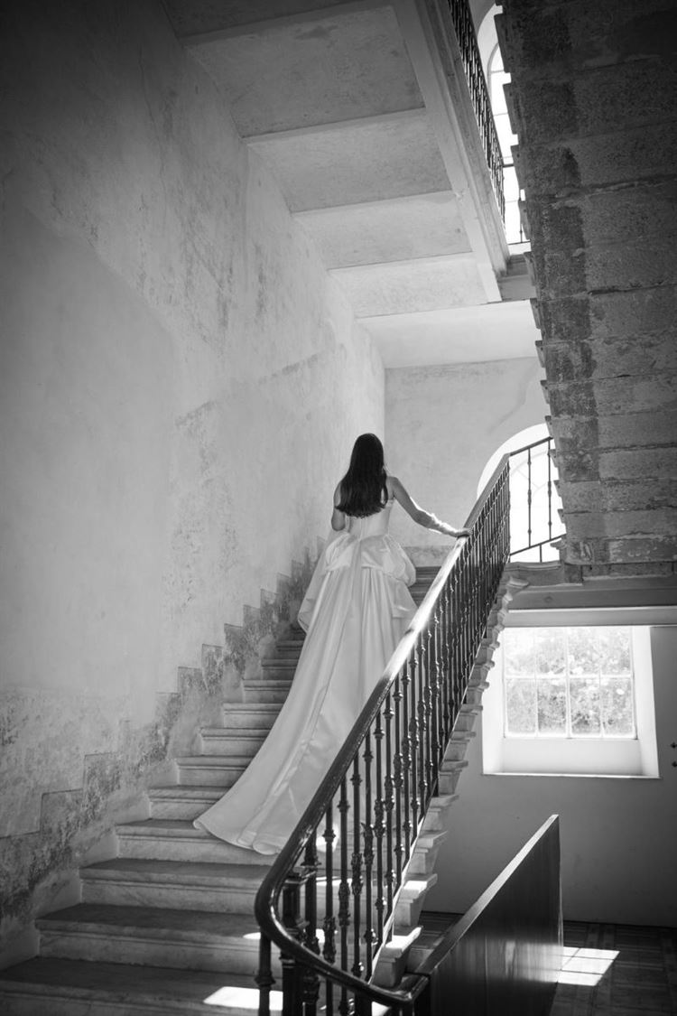 צילום: חיים אפריאט