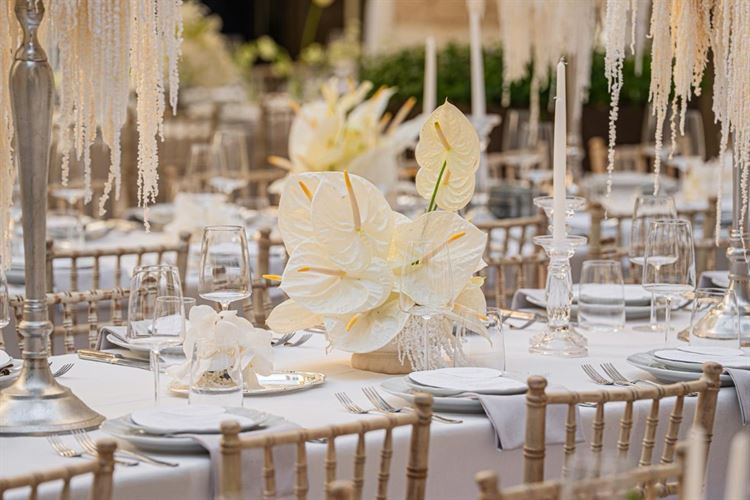 צילום: חיים אפריאט