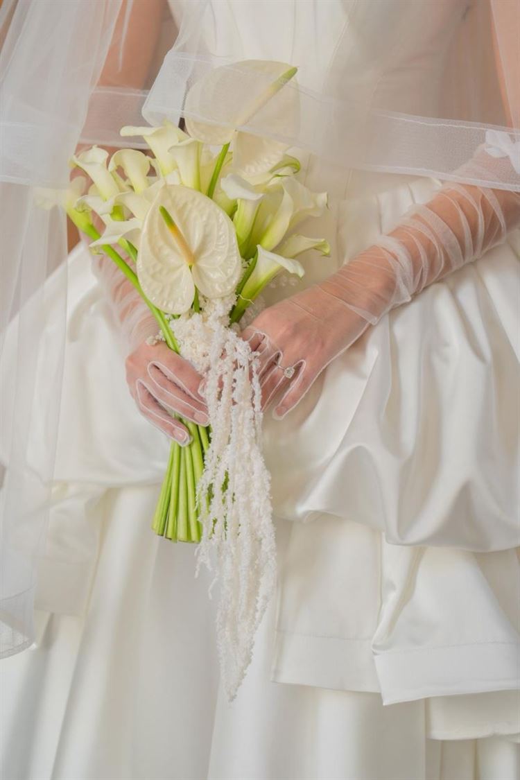 צילום: חיים אפריאט