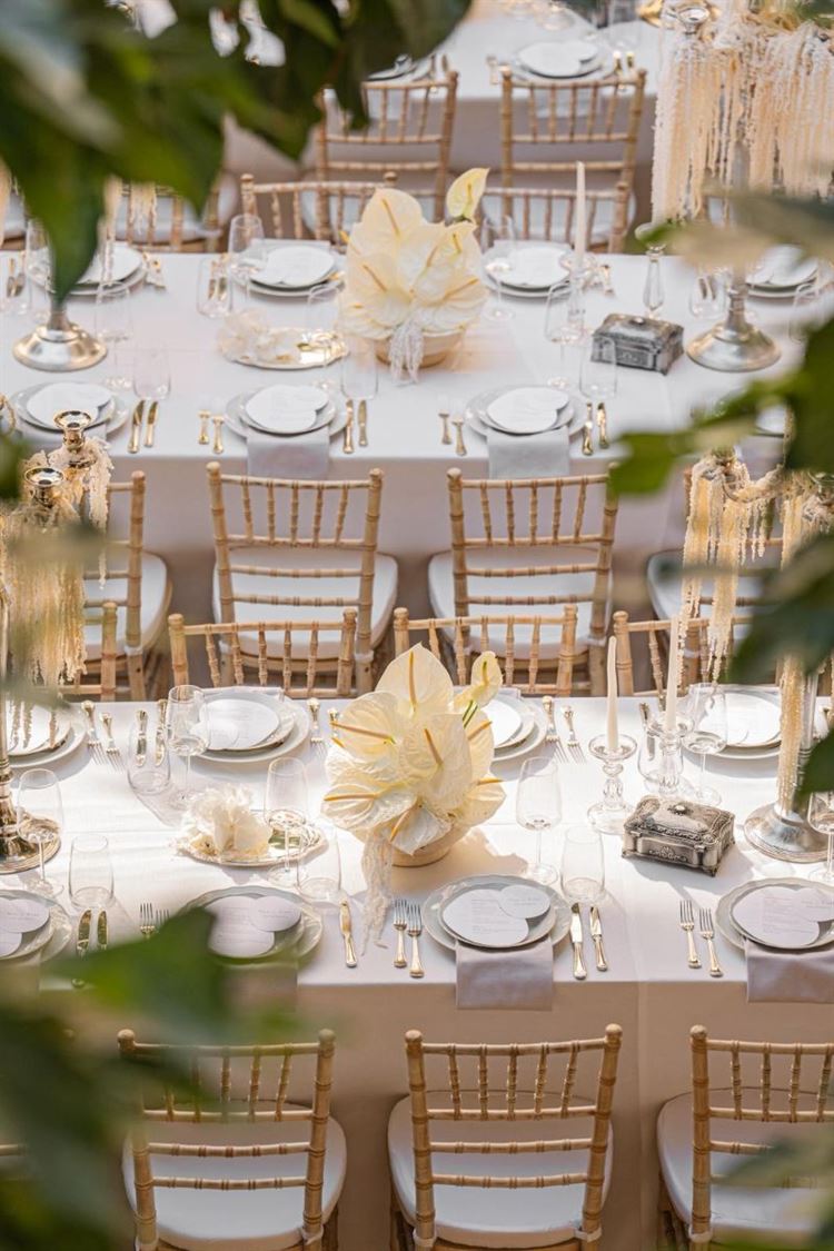 צילום: חיים אפריאט