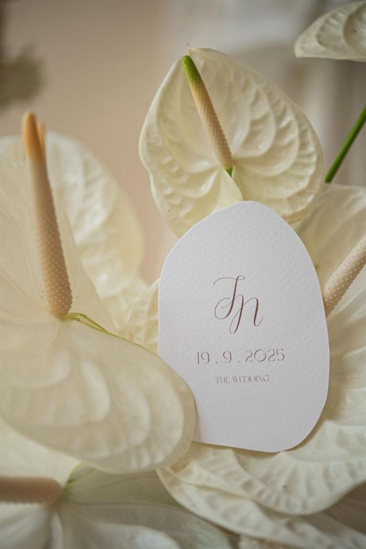 צילום: חיים אפריאט