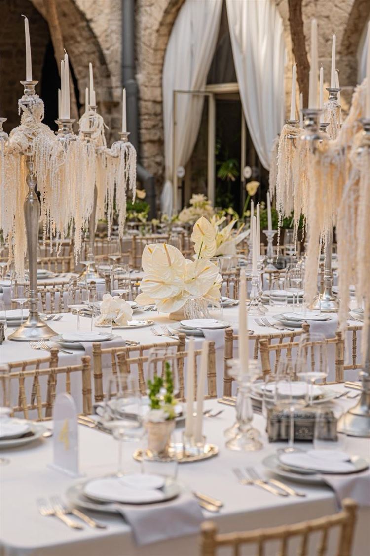 צילום: חיים אפריאט