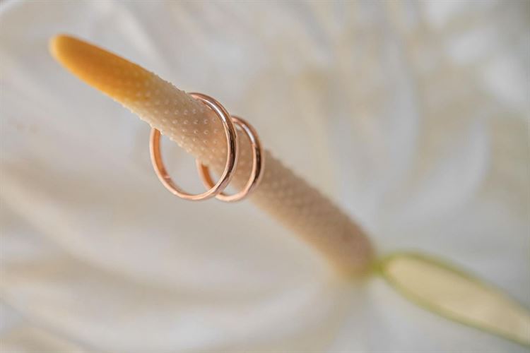 צילום: חיים אפריאט