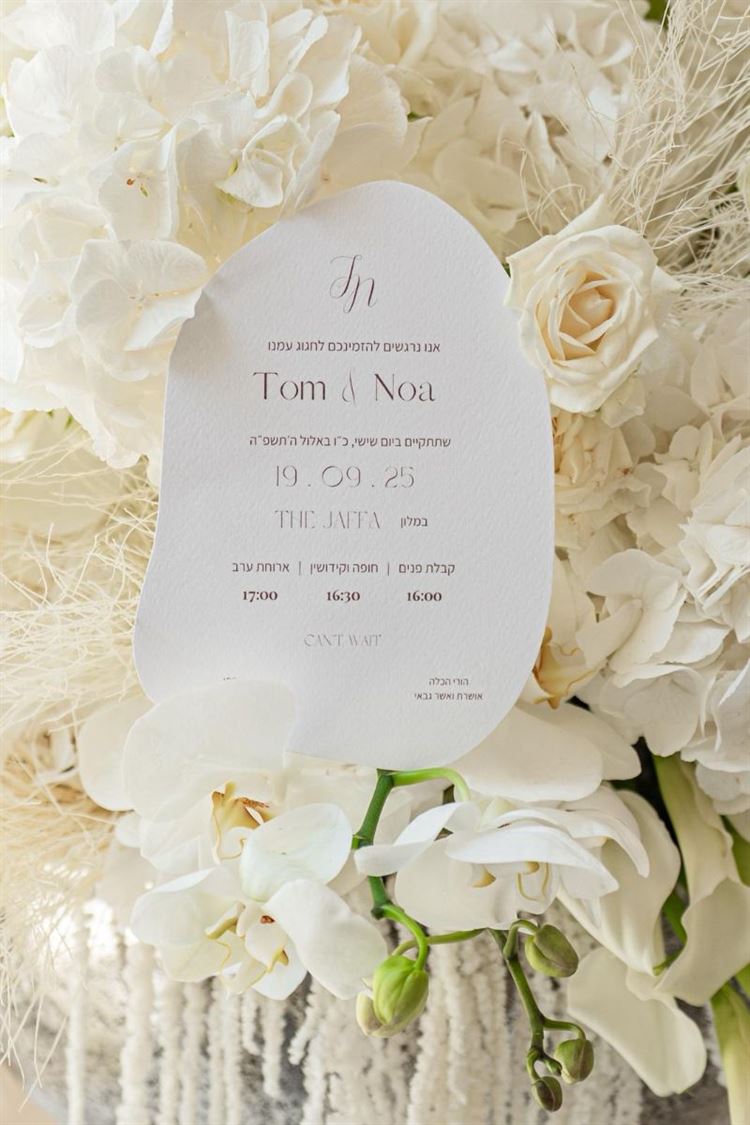 צילום: חיים אפריאט