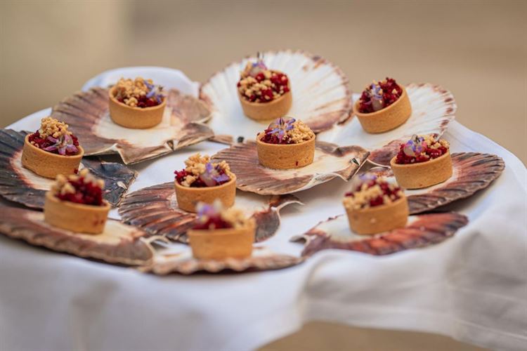 צילום: חיים אפריאט