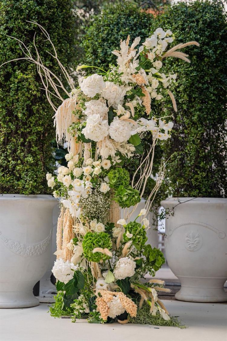 צילום: חיים אפריאט