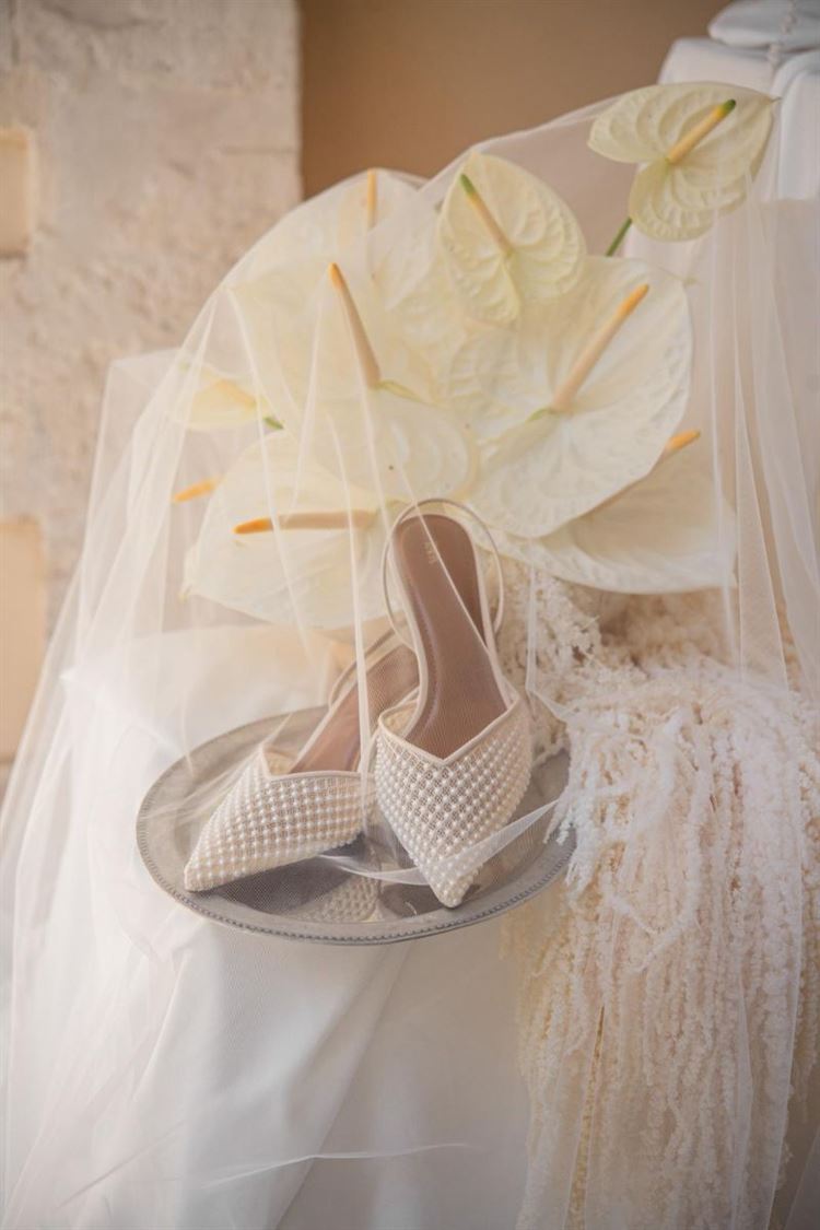 צילום: חיים אפריאט