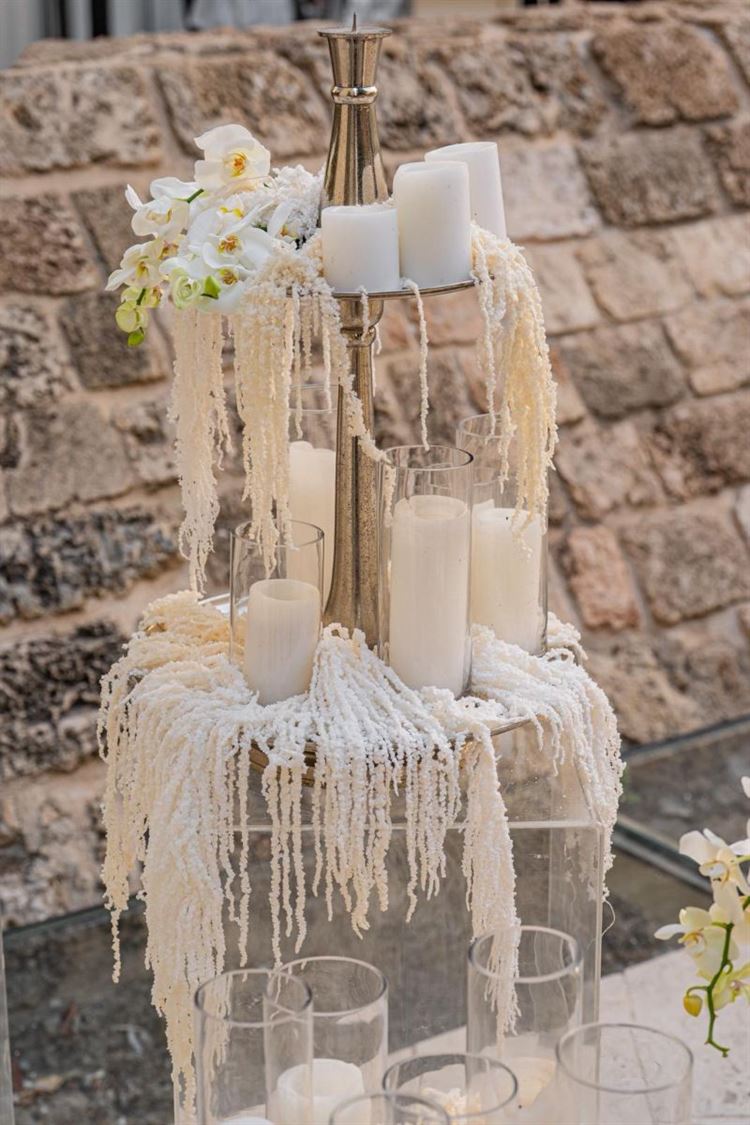 צילום: חיים אפריאט