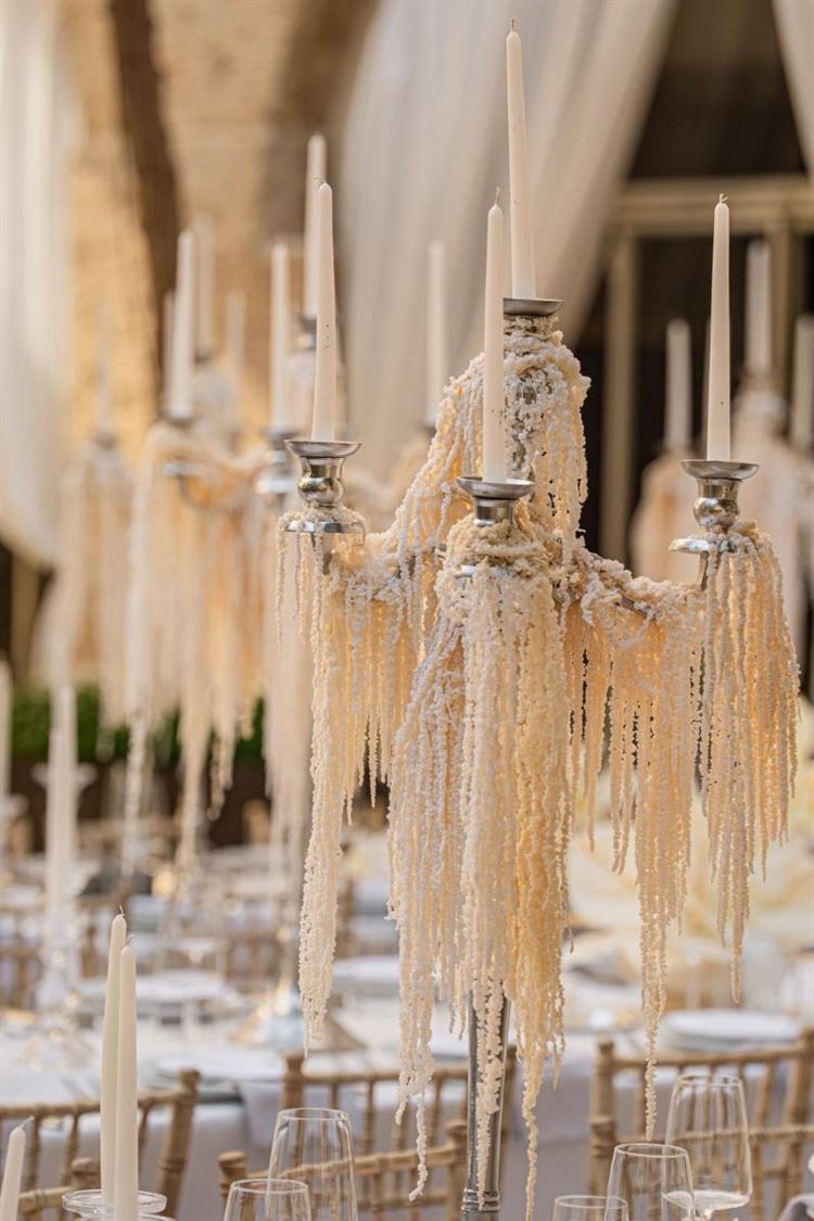 צילום: חיים אפריאט