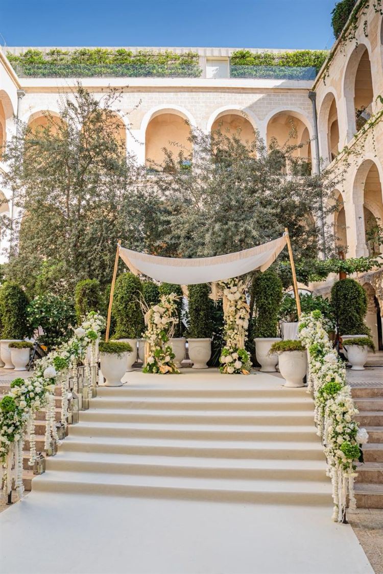 צילום: חיים אפריאט