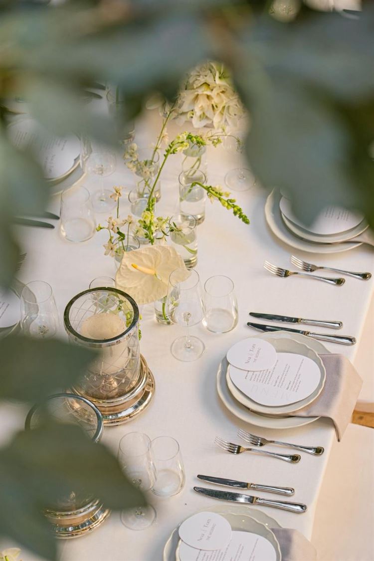 צילום: חיים אפריאט