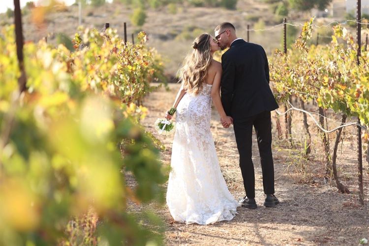 צילום: שי אסייג