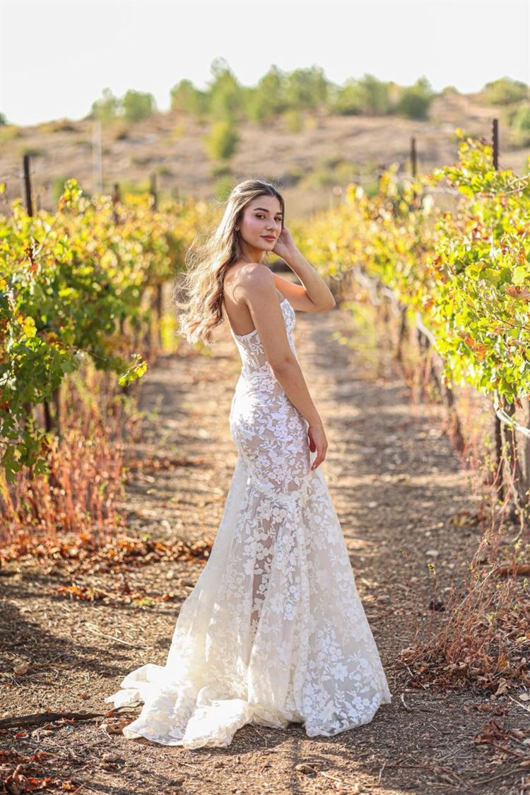 צילום: שי אסייג