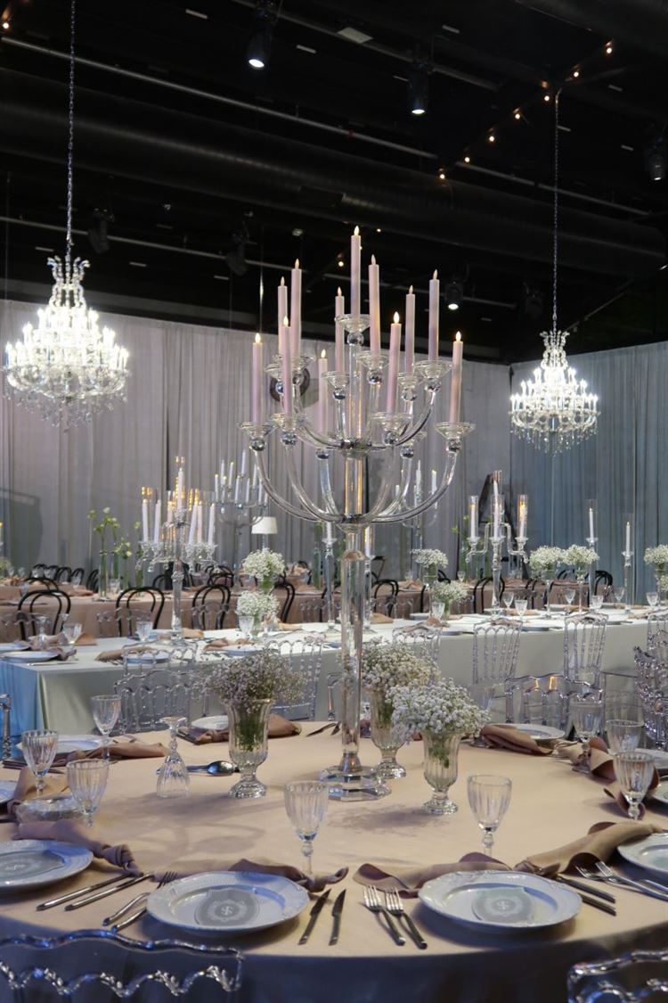 צילום: שקד מורדוך