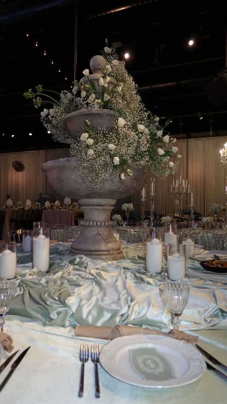 צילום: שקד מורדוך