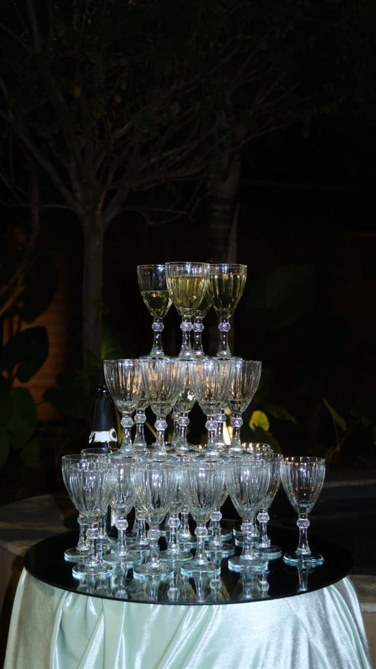 צילום: שקד מורדוך