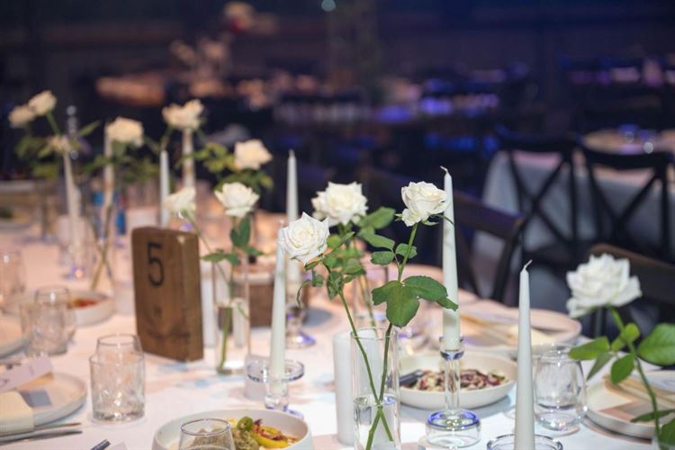 צילום: אלון גרובר