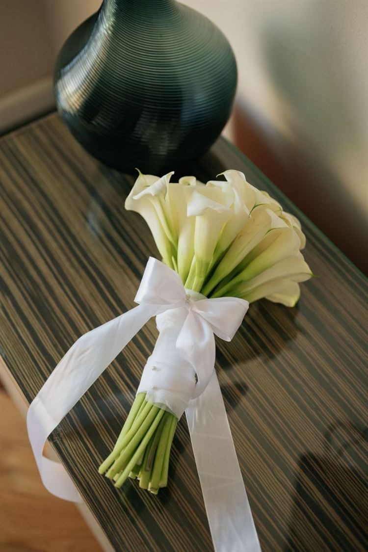 צילום: שלומי ביטון