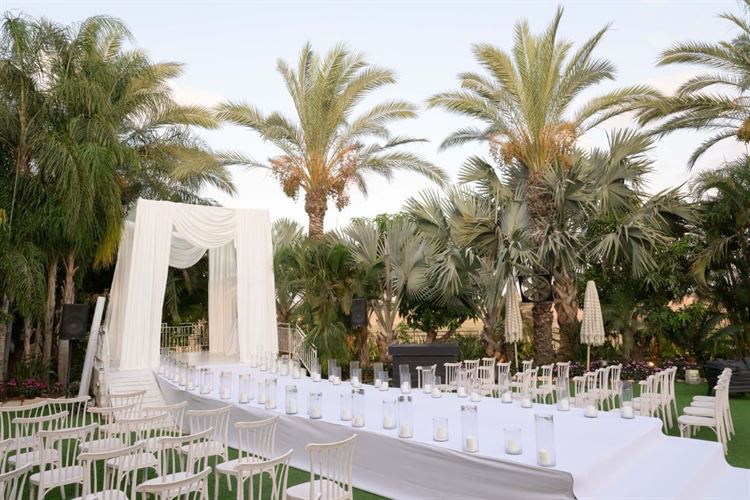 צילום: שלומי ביטון