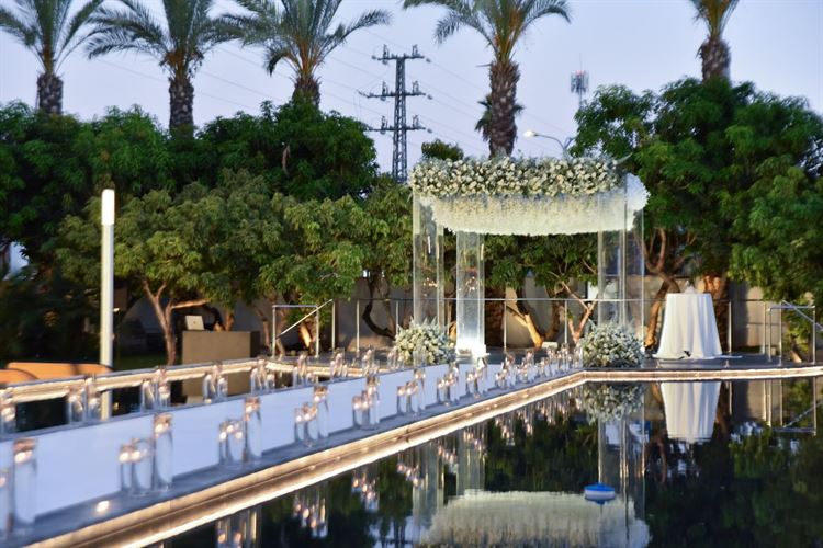 צילום: שחר זינו