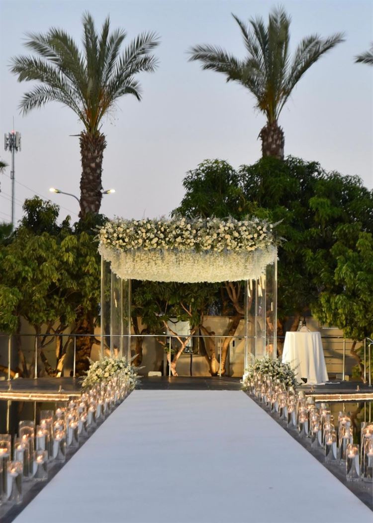 צילום: שחר זינו