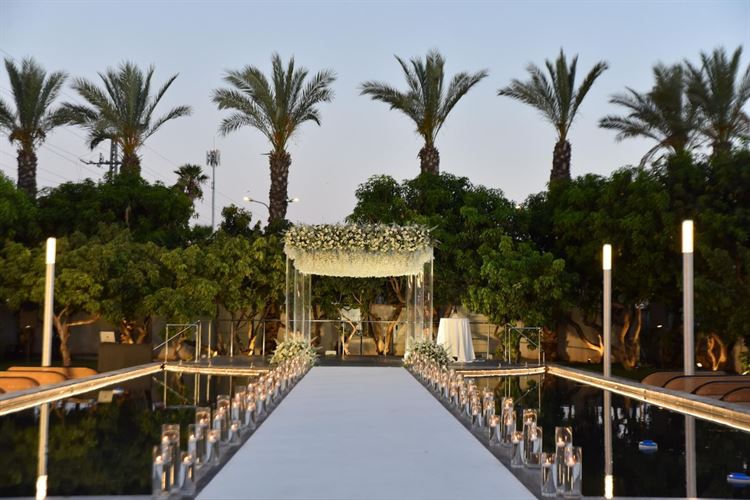 צילום: שחר זינו