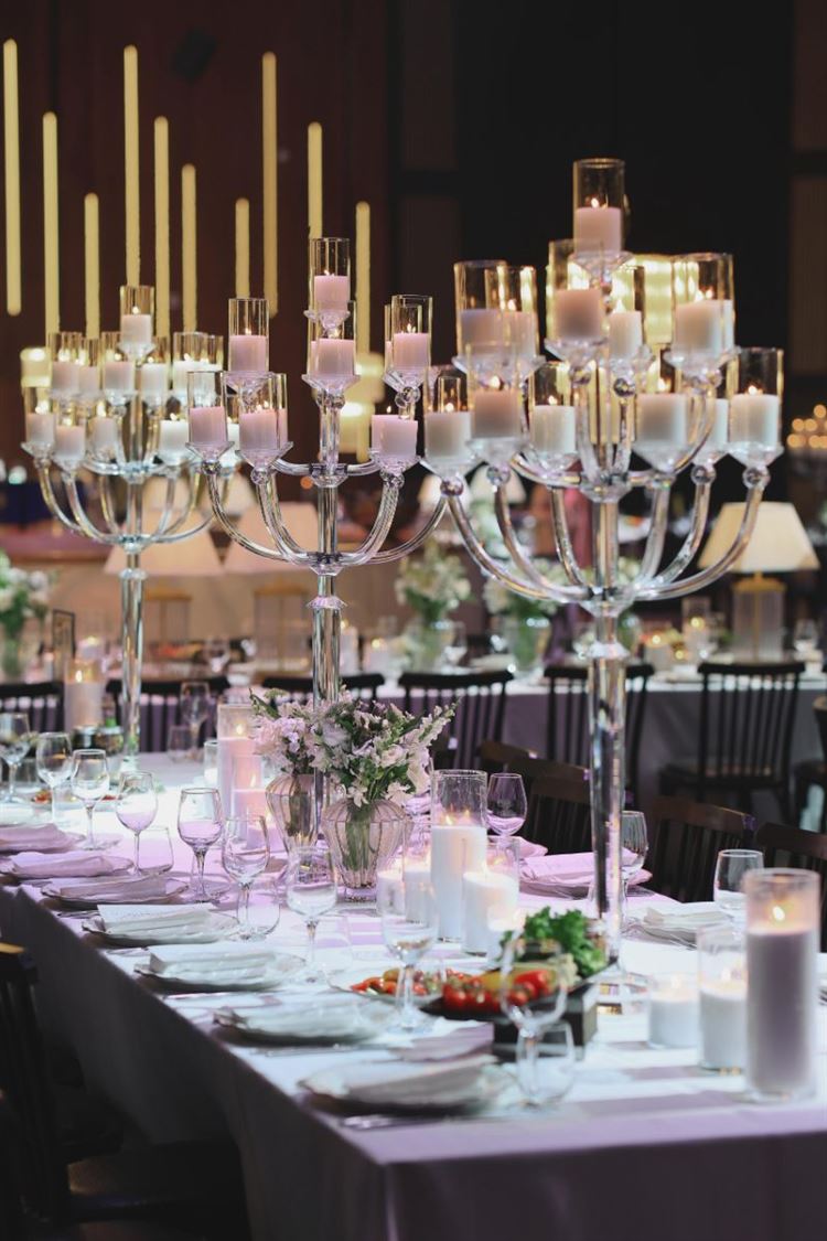 צילום: שחר זינו